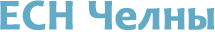 Логотип группы компаний ЕСН